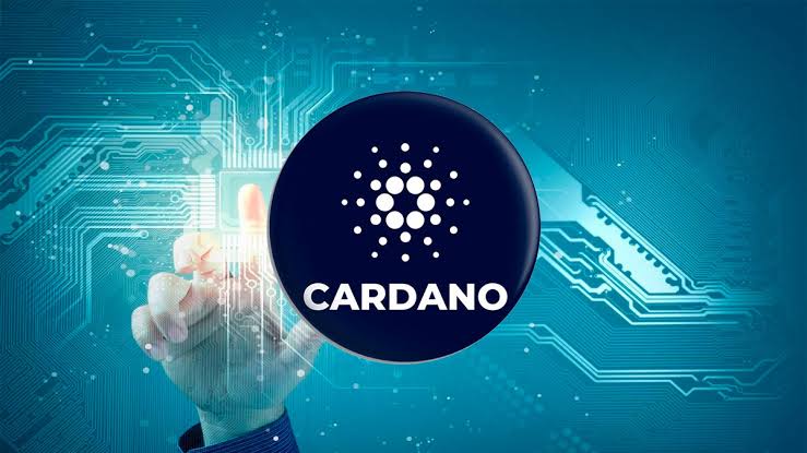 Cardano 