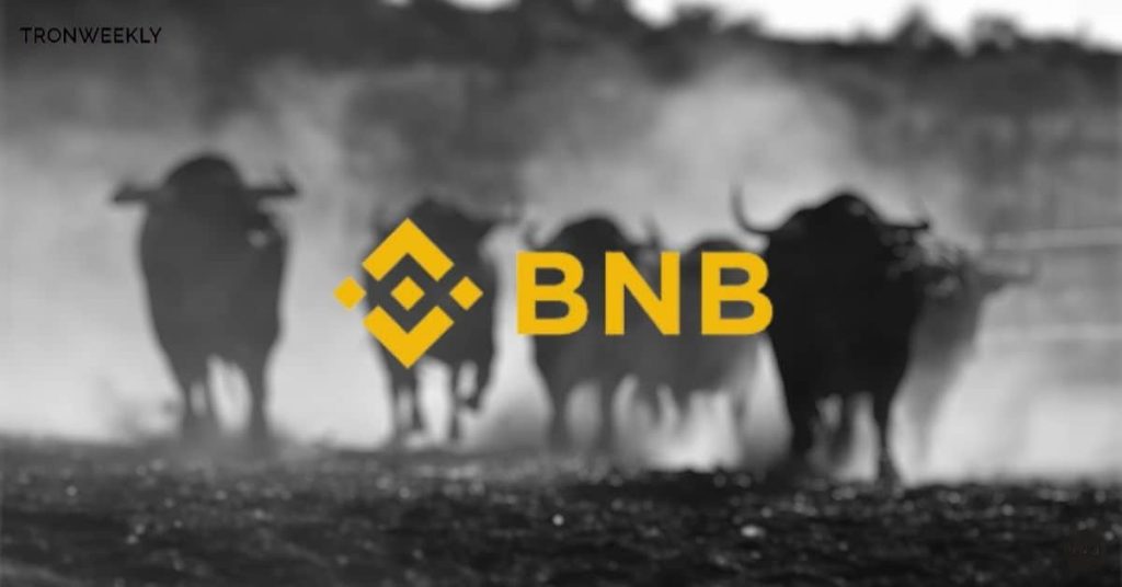 Binance Coin (BNB) Bulls Face Crucial Test as Breakout Hangs in the Balance