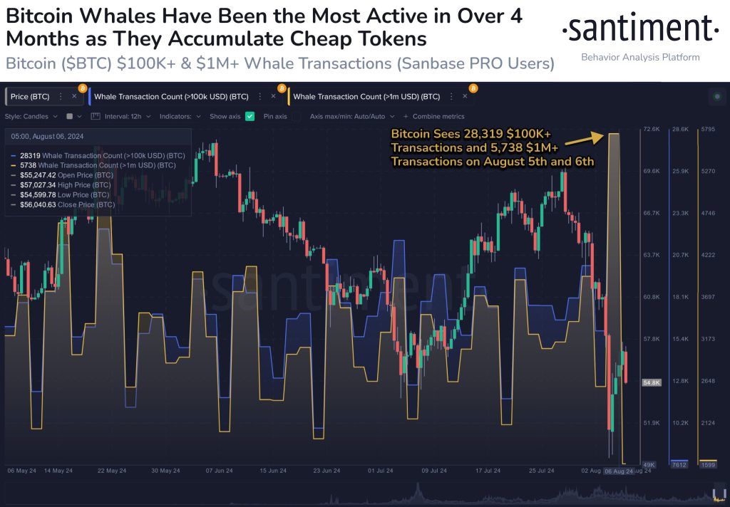 Bitcoin Whale Activities Surges as Whale Transactions Hit 4-Month High Despite Market Dip