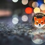 Shiba Inu (SHIB) Price Rise Signals Accumulation Opportunity