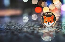 Shiba Inu (SHIB) Price Rise Signals Accumulation Opportunity