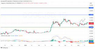 Dogecoin (DOGE) Bull Run Resumes After Brief Bear Market Scare. Source: Coingape