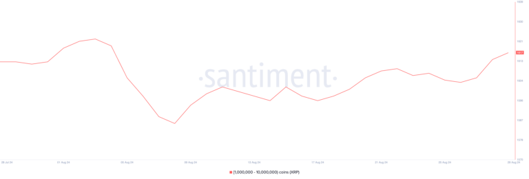 XRP Supply Distribution. Source: Santiment