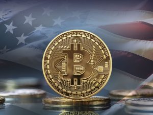 US Democrats Embrace Crypto: See How It Could Influence The Forthcoming Election