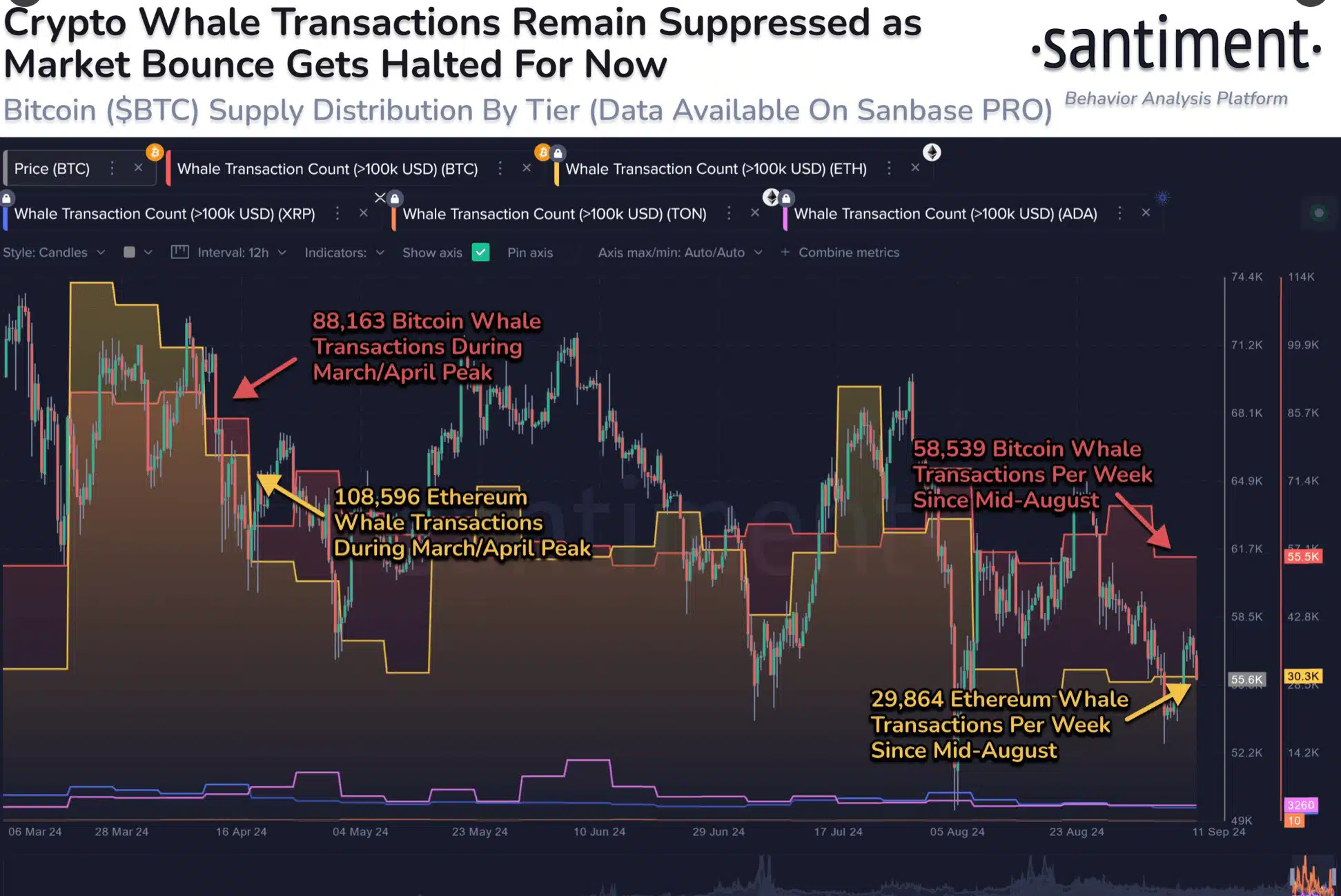 Bitcoin Whale Transactions Drop by 33.6% as Market Volatility Continues 