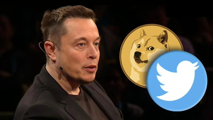 Elon Musk DOGE Tweet Triggers Dogecoin Price Surge as Holders Hope for Price Sustainability