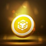 BNB Price Drop: Extreme Fear Grips Market Amid Bearish Sentiment