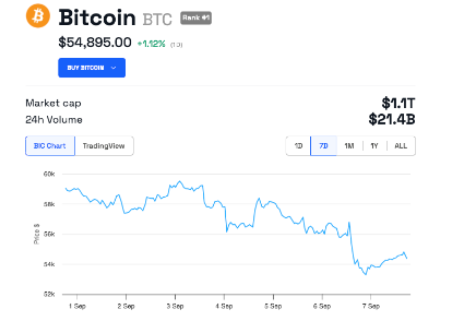 Bitcoin Price Performance. Source: BeInCrypto