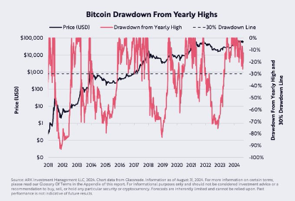 Bitcoin Historical Drawdowns. Source: Ark Invest