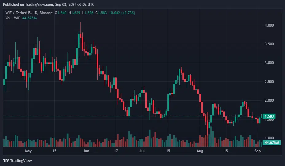 Solana-based Dogwifhat Meme Coin Rally Leads Market Gains With 12% Surge