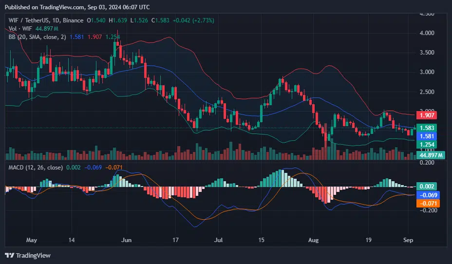 Solana-based Dogwifhat Meme Coin Rally Leads Market Gains With 12% Surge