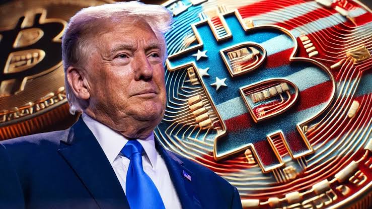 Donald Trump Endorses Elon Musk to Lead Government Task Force on Efficiency and Crypto Reform