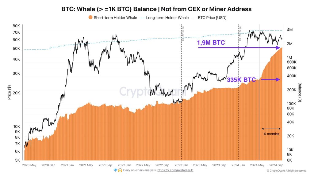 Bitcoin whale balance. Source: Axel Adler Jr.X