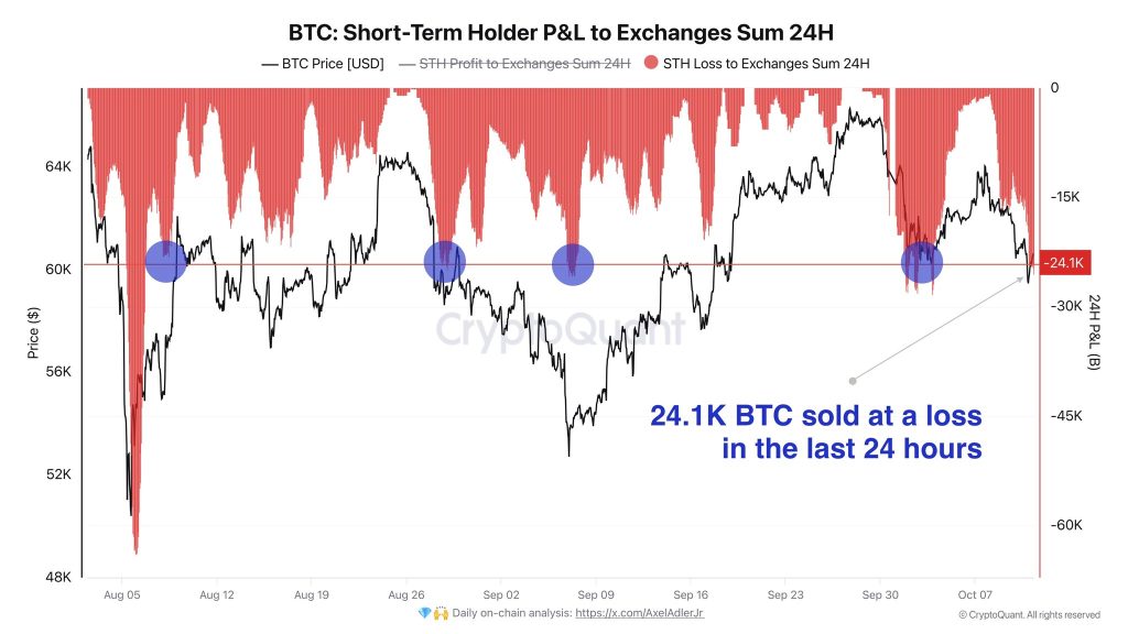 Bitcoin STH P&L. Source: Axel Adler Jr.X