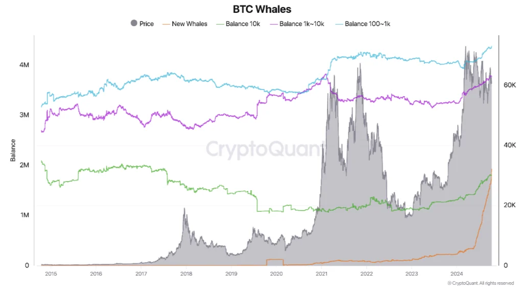 Bitcoin whale numbers by size (screenshot). Source: CryptoQuant