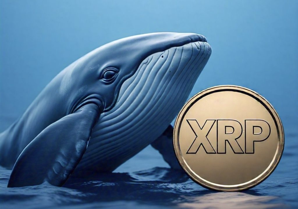 XRP Whale Buy activity crosses $2 billion in 3 days, hinting at a breakout toward $3.50. Is this a bullish signal or a potential bull trap? Read more!