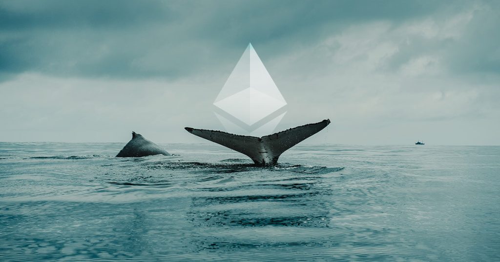 Ethereum Whale Accumulation Signals Potential Market Recovery