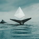 Ethereum Whale Accumulation Signals Potential Market Recovery