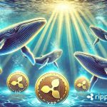 XRP Whale Transfer Sparks Market Speculation: What It Could Mean for 2024