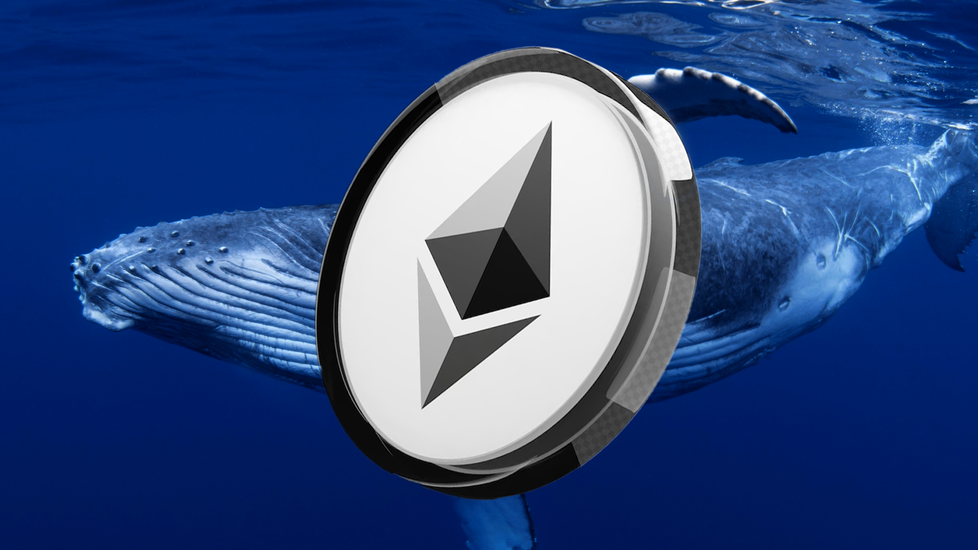 Ethereum Whale Accumulation Signals Potential Market Recovery