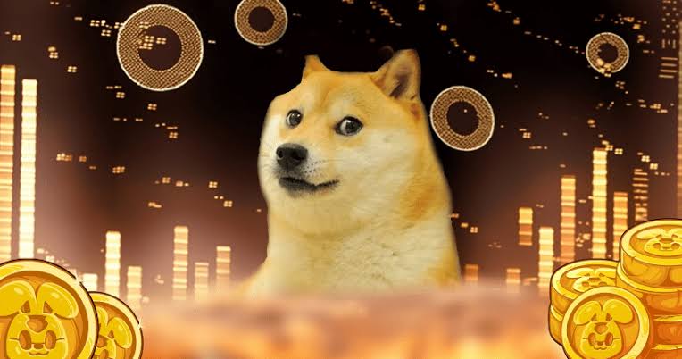 Dogecoin whale Accumulation