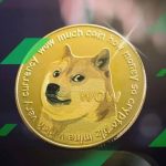 Dogecoin Transaction Volume Decline