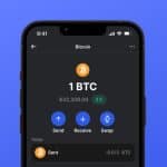 Bitcoin Wallet Addresses Holding $100 Near All-Time Highs