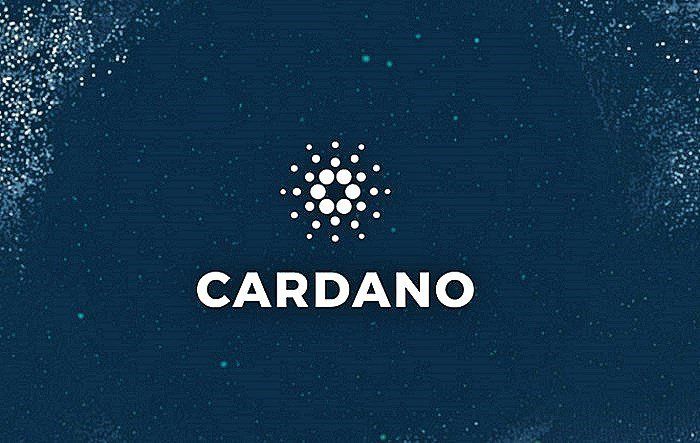 Cardano Decentralized Governance Advances with Plomin Hard Fork