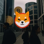 Shiba Inu whale activity reflects rising confidence