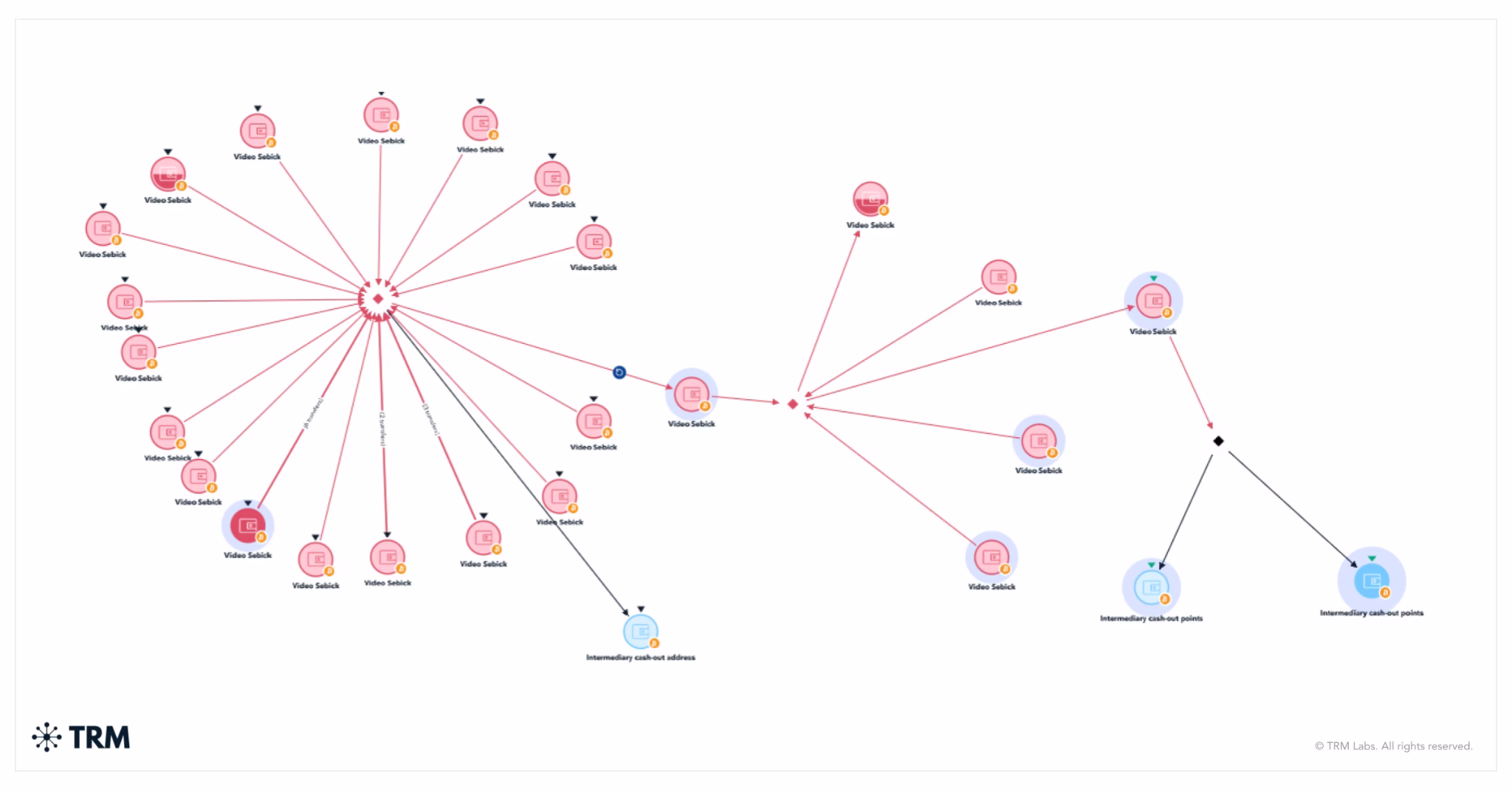 Crypto tracing leads to major arrest in global child abuse network