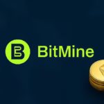 Bitmine Ethereum holding