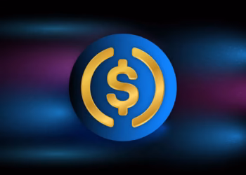 Agentic Machine Payments