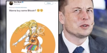 Bitcoin anime girl