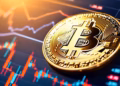 Bitcoin Treasury