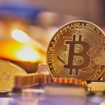 Bitcoin Treasury