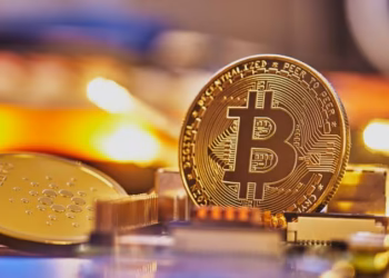 Bitcoin Treasury