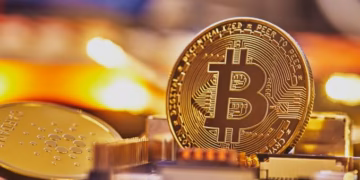 Bitcoin Treasury