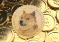 Dogecoin Whale