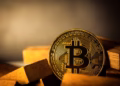 Bitcoin Treasury