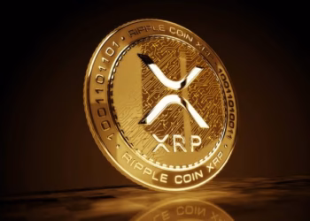 XRP Whale Accumulation