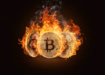 Bitcoin Burn