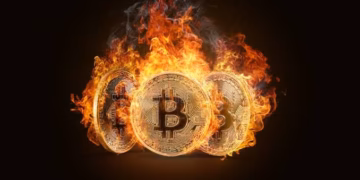 Bitcoin Burn