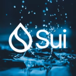 Sui network outage