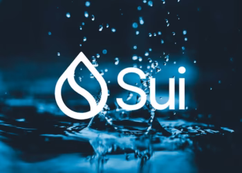 Sui network outage