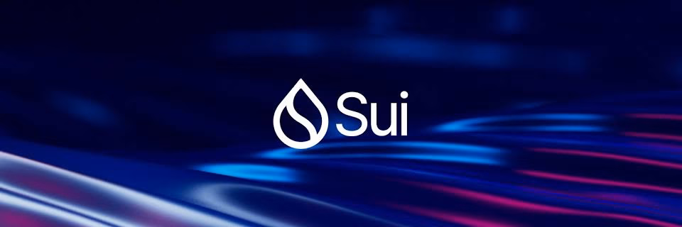 Sui network outage