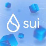 Sui network outage