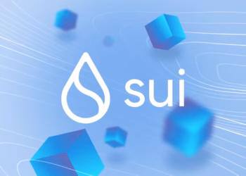 Sui network outage