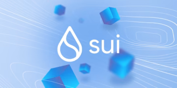 Sui network outage