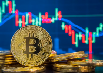 Bitcoin Volatility