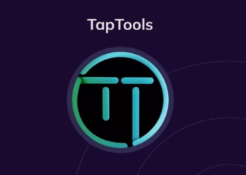 TapTools to shut down in two weeks after co-founders and CTO exit Cardano analytics platform